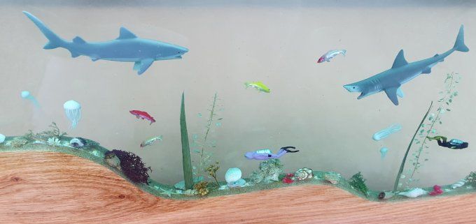 Aquarium sans entretien 