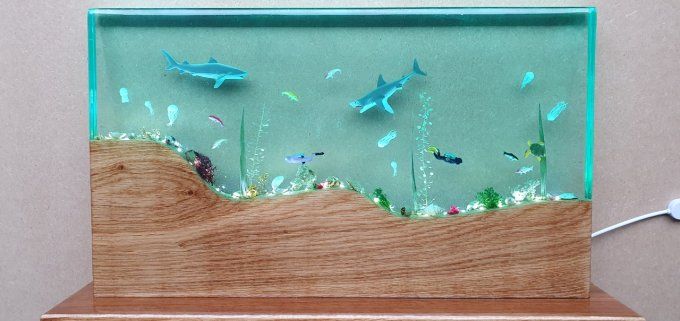 Aquarium sans entretien 