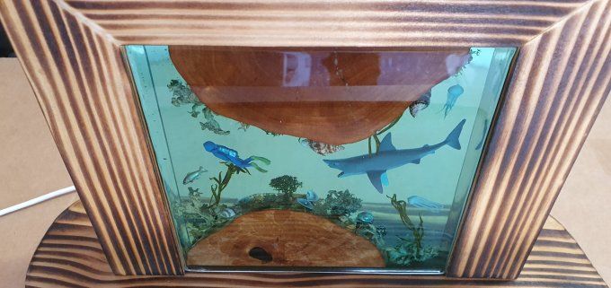 Lampe mini aquarium sans entretien 