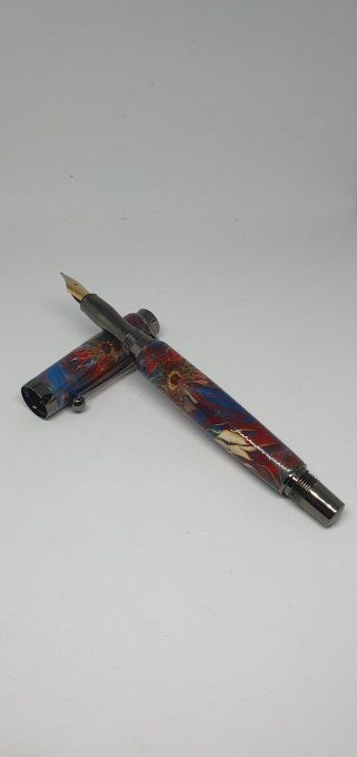 Stylo plume chardons bleu et rouge