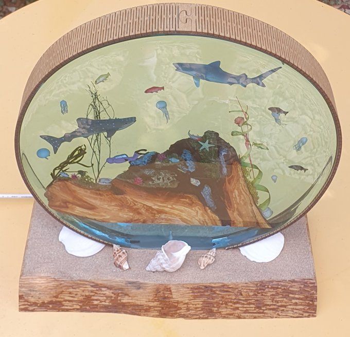 Mini aquarium résine rond