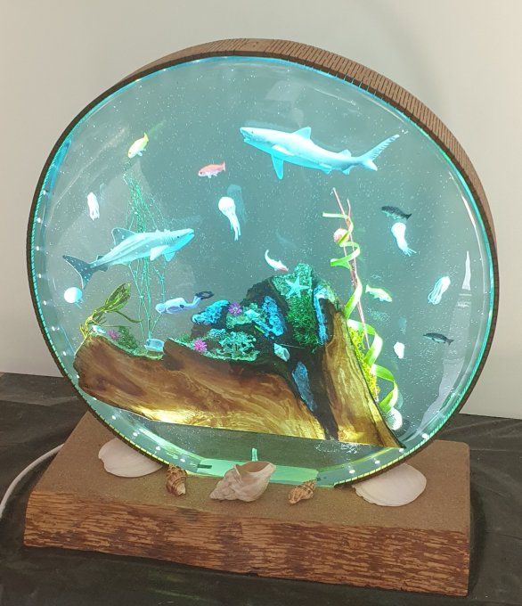 Mini aquarium résine rond