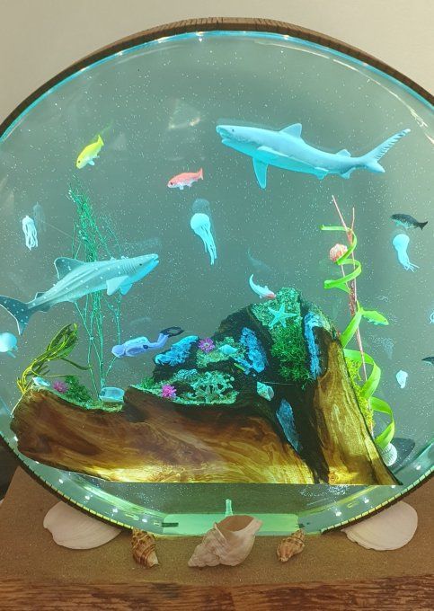 Mini aquarium résine rond